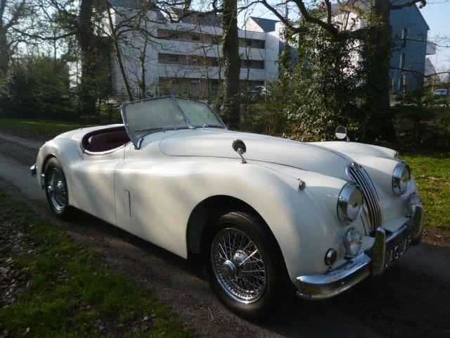 Jaguar XK 140 MC 1956