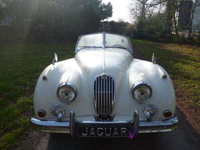 Jaguar XK 140 MC 1956