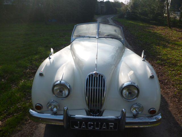 Jaguar XK 140 MC 1956