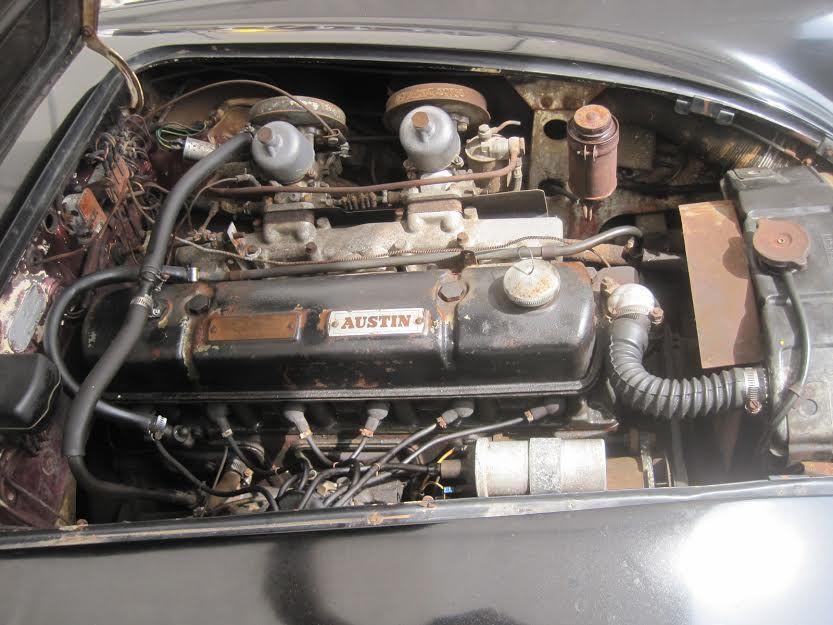 Austin Healey 100/6 1956