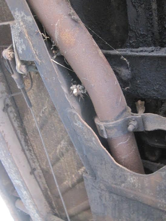 Triumph TR3A bretagne roadster