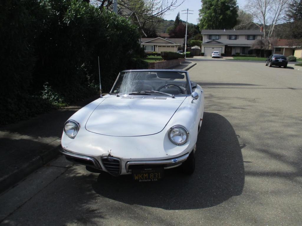 alfa duetto 1600 bretagne roadster