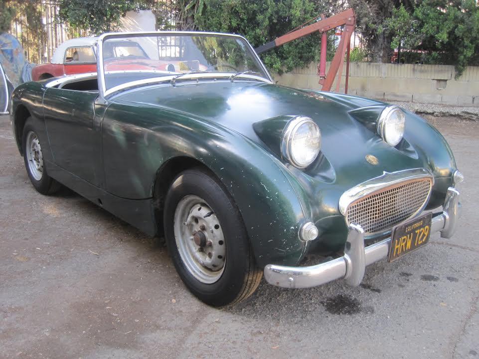 austin healey frog eye