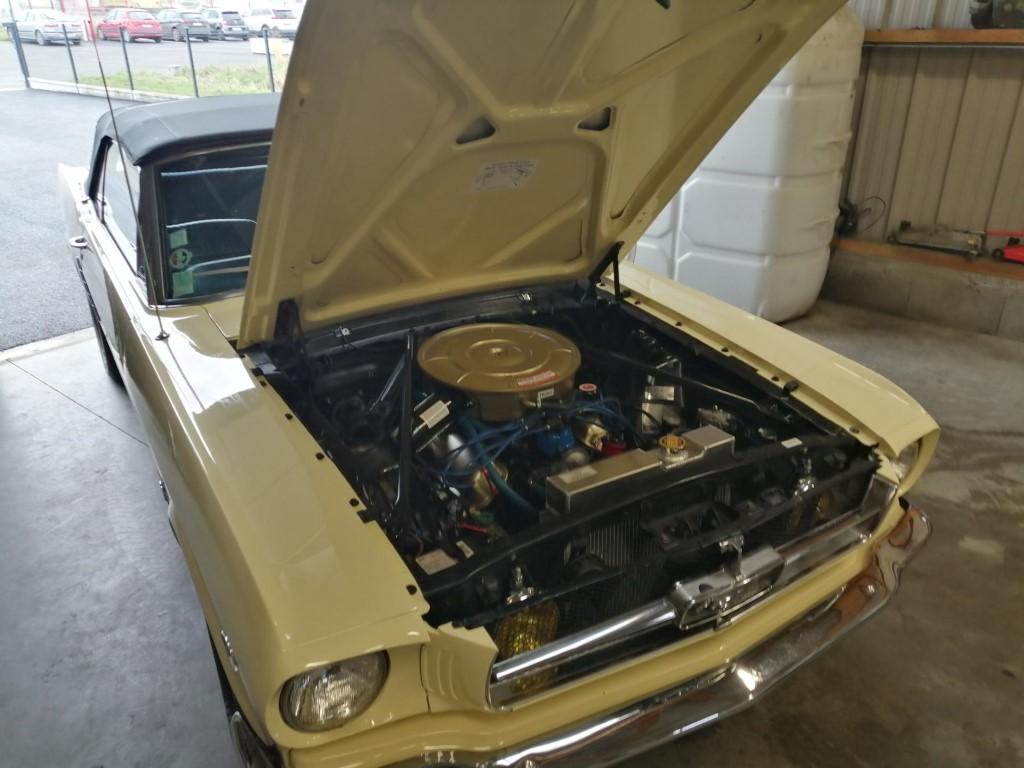 ford mustang v8 cabriolet bretagne roadster