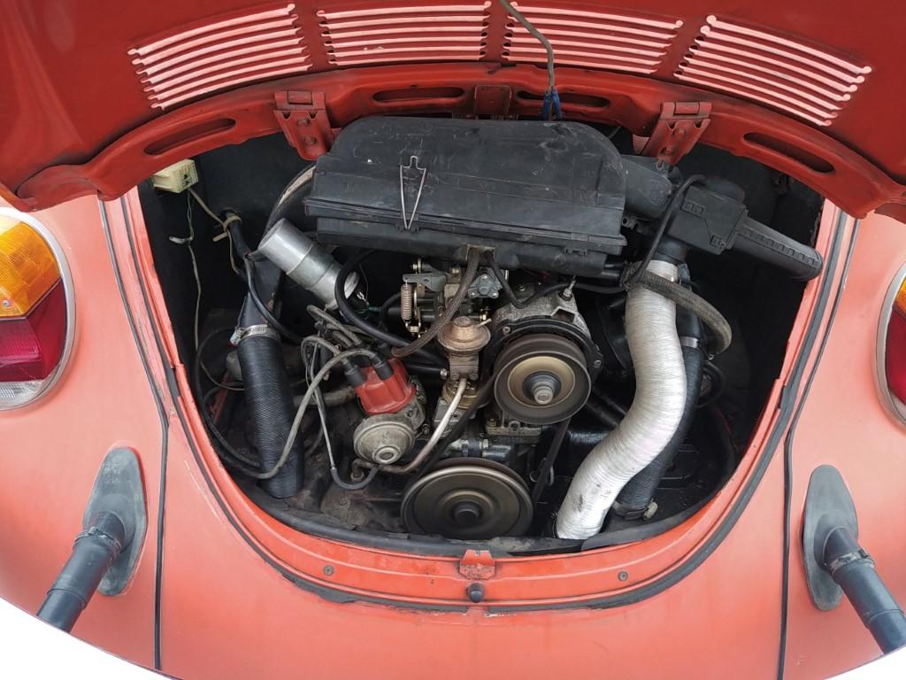 coccinelle bretagne roadster