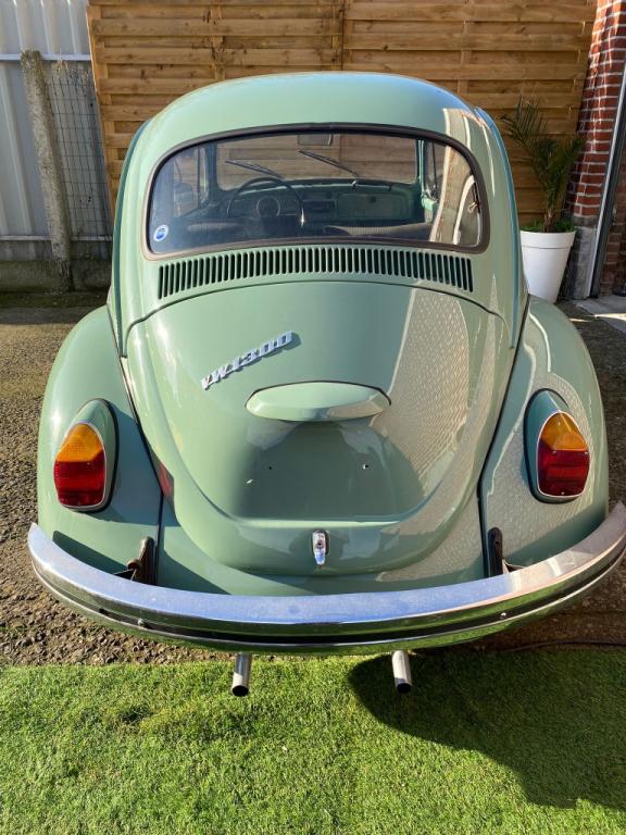 cox bretagne roadster