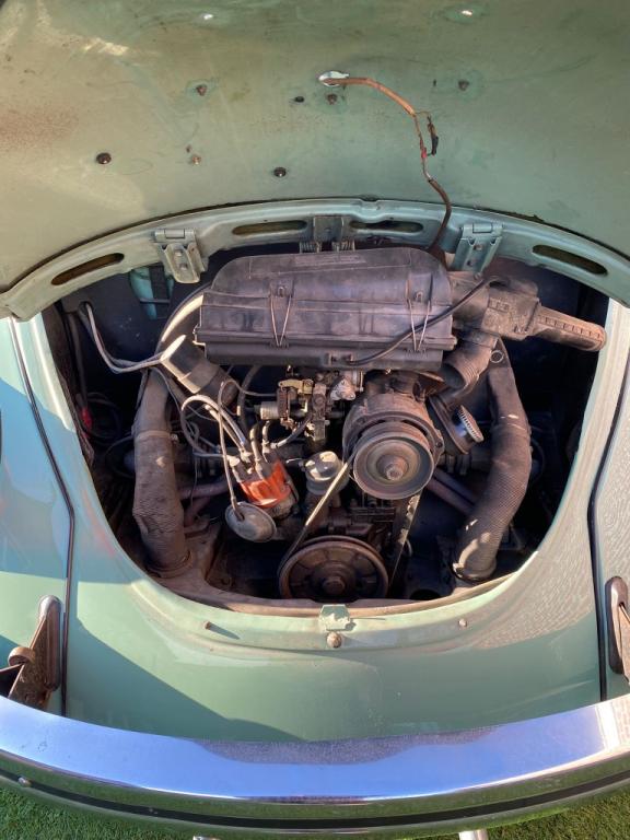 cox bretagne roadster